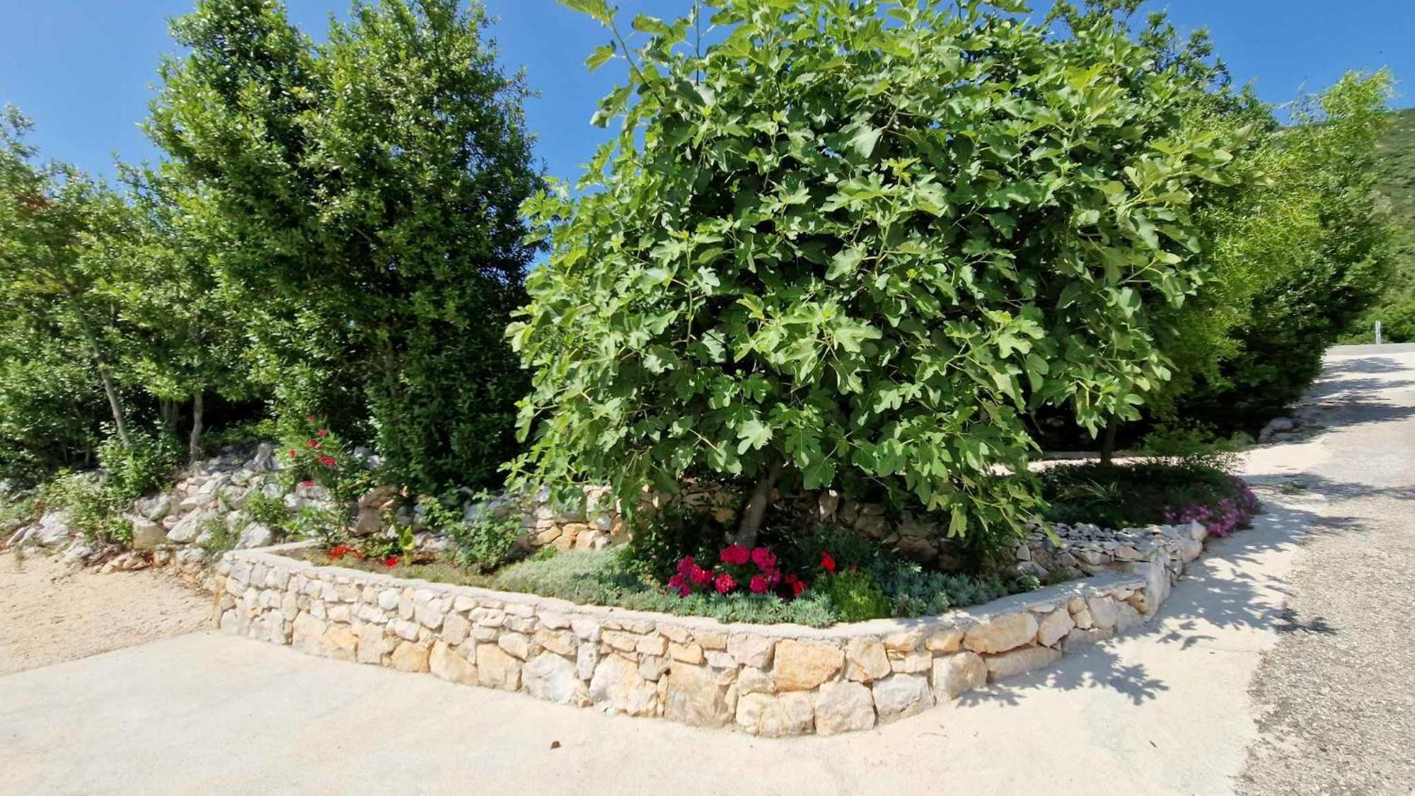 Villa Paradise Garden Ston Buitenkant foto
